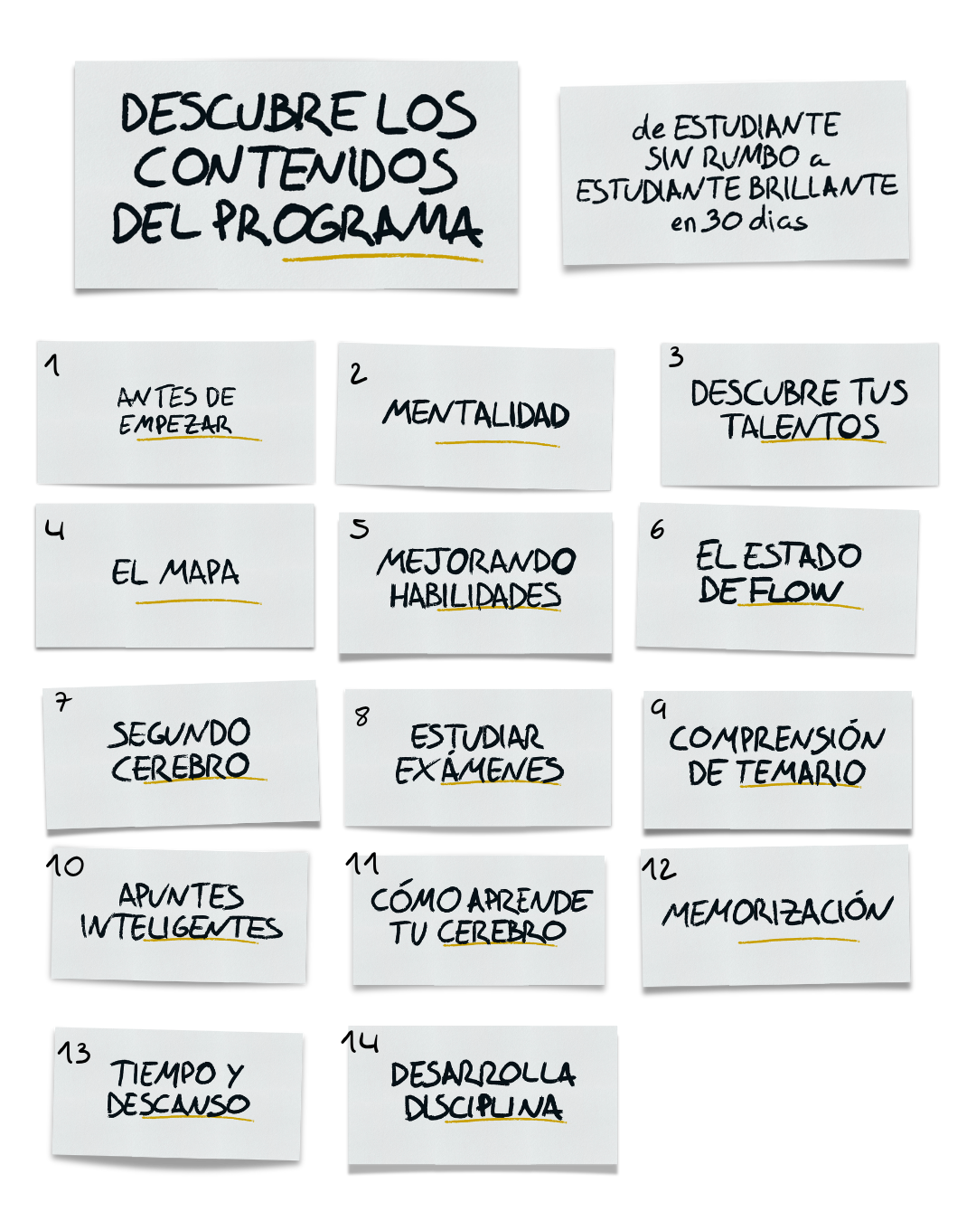 La Fórmula del Estudiante Brillante